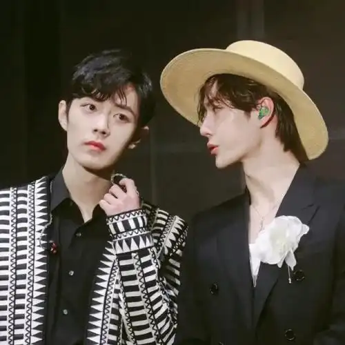 15岁的我,喜欢上了29岁的肖战,和23岁的王一… - 半次元 - acg爱好者