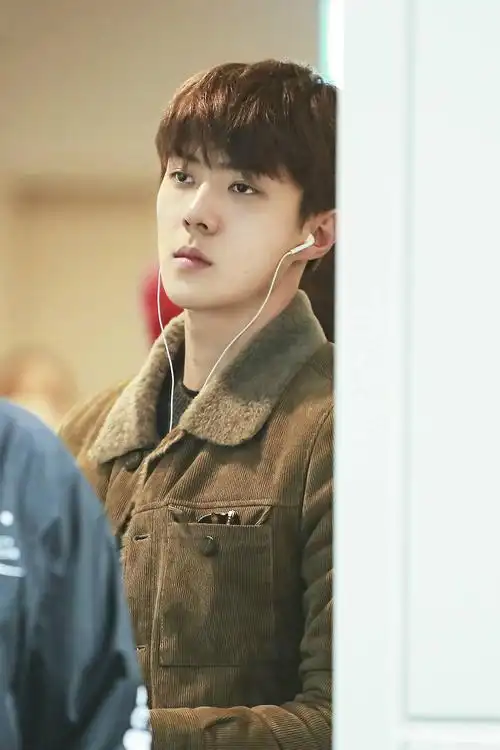 exo sehun 吴世勋-堆糖,美好生活研究所