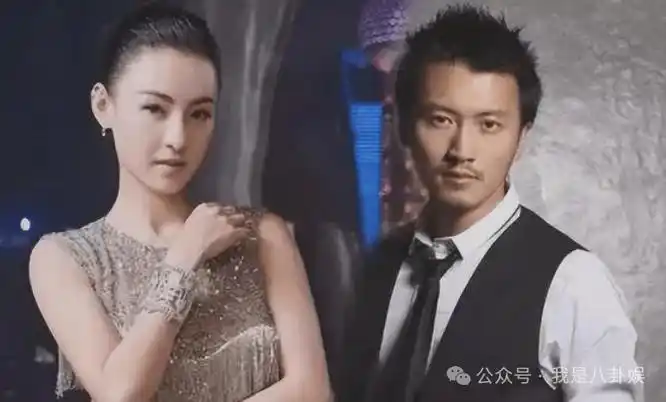 原创张柏芝4胎已生昏睡16天子宫脱垂谢霆锋遭长子痛批网友吵翻图啥