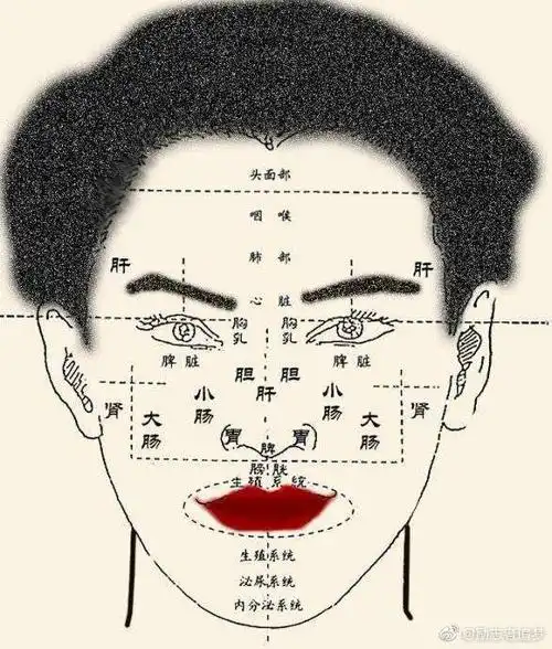 面部五脏六腑晴雨表