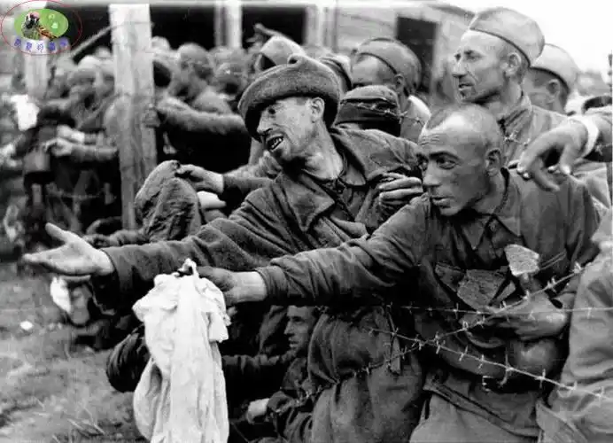 二战苏联战俘组图
