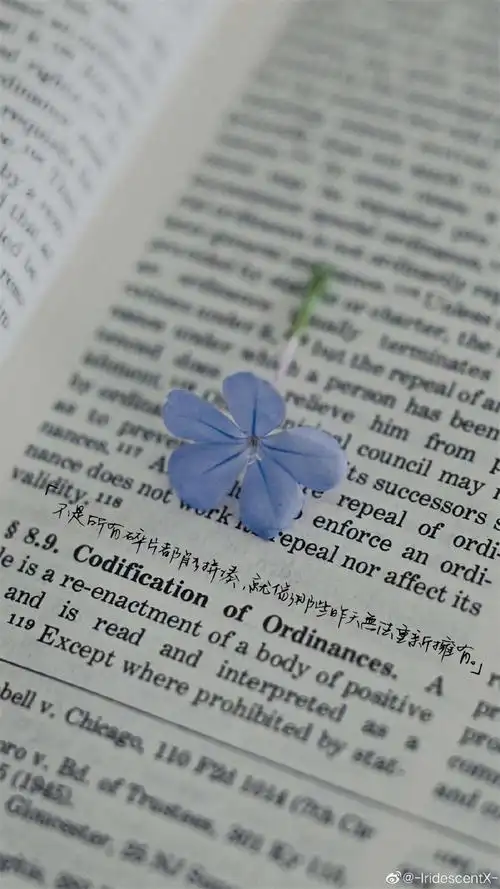 清新文艺艺术文字创意图片手机壁纸