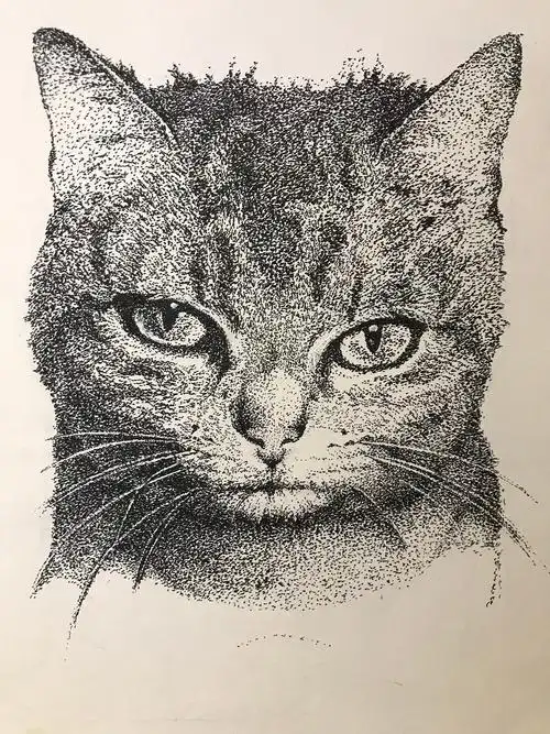 黑白画|纯艺术|绘画|mrzhangxuejian_原创作品-站酷zcool