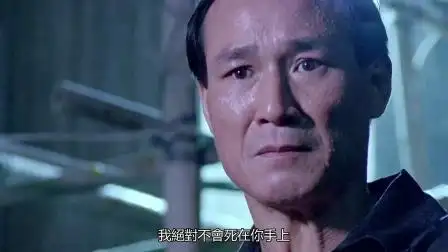 义胆雄心:陈惠敏年轻时候真霸气