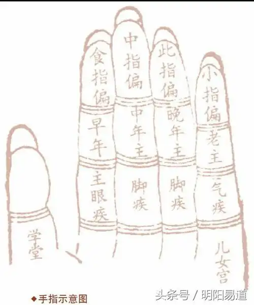 从手指痣和斗预测福祸