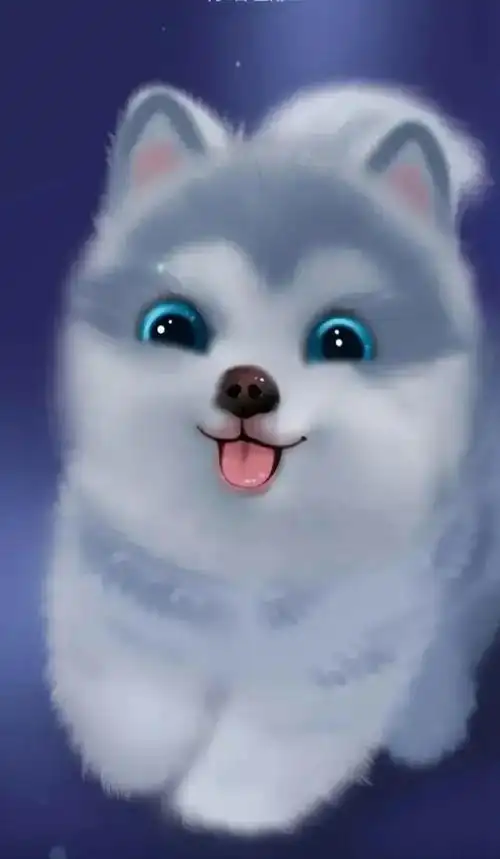 精美可爱的动物图片|可爱的动物|壁纸|大多数_手机网易网