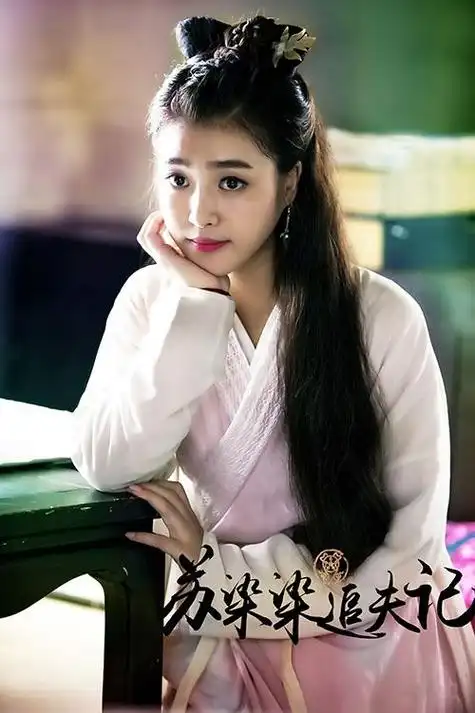 《苏染染追夫记》是北京壹加传媒有限公司承制的古装武侠网络剧,由 a