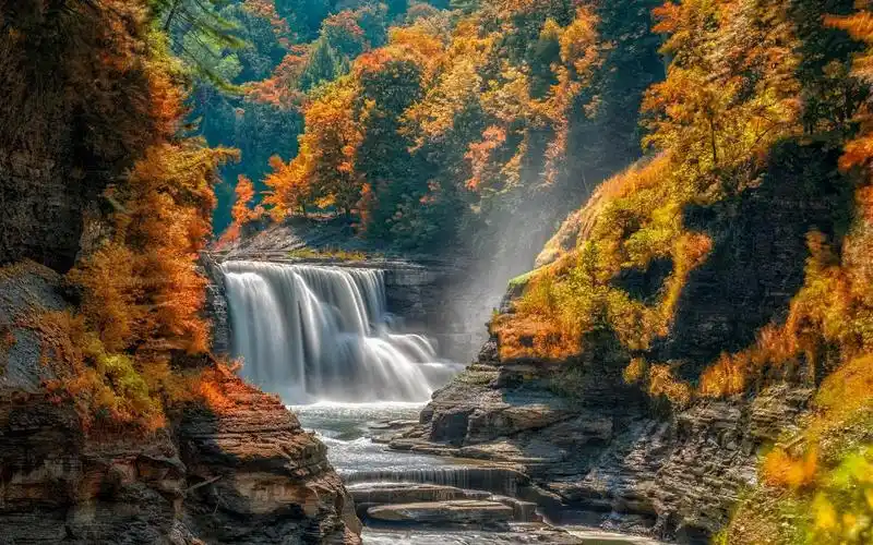 秋天,树,瀑布,石头 壁纸