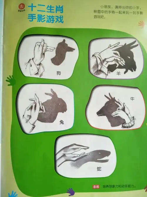 其它 起航国际幼儿园马家堡分园【中四班】周总结 写美篇《十二生肖