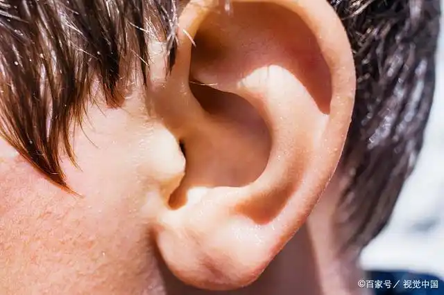 另外耳朵还有诸多方面,可以测定一个人的幸福与命运