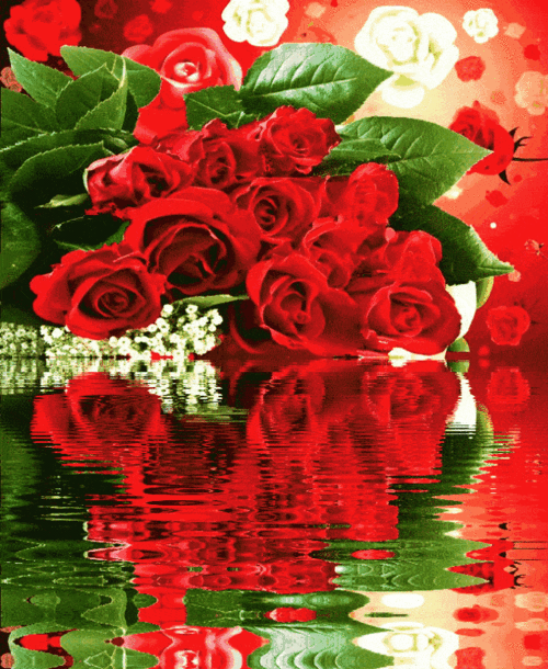 绝美动态玫瑰倒影花册(太绝美了!