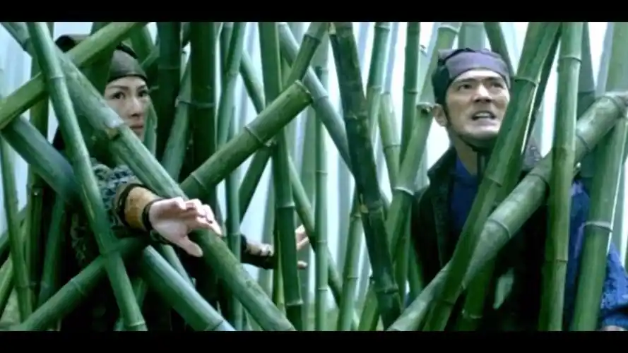 章子怡十面埋伏和卧虎藏龙竹林之战