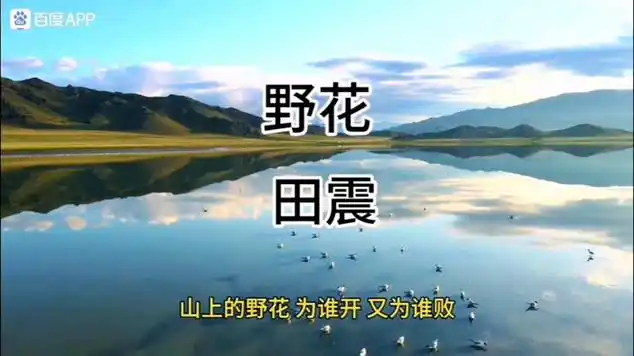 田震演唱的经典老歌《野花》,有深情,有期盼,有无奈|国语歌曲|经典