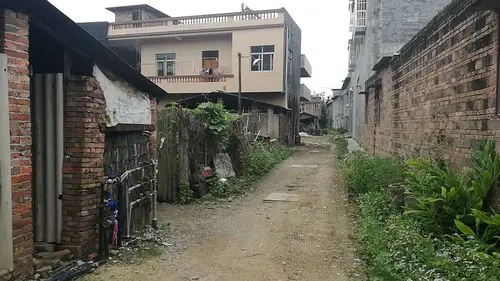 村里的小路 - 花粉随手拍生活 花粉俱乐部