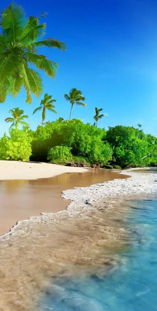 你有哪些看一眼就忘不了的壁纸?