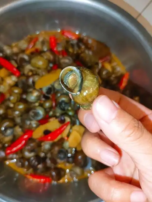 锁死麻辣田螺这个做法!!