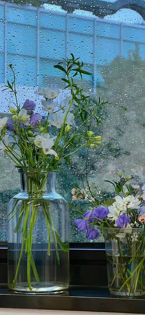 壁纸|全面屏超清3230313135303534