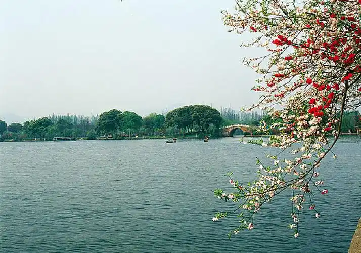 杭州西湖十景苏堤春晓_高清图片_全景视觉