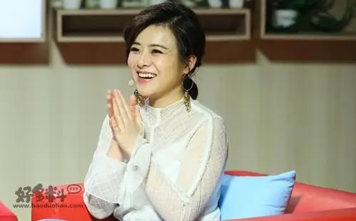 如何评价主持人陈辰主持人陈辰有过几段感情生活