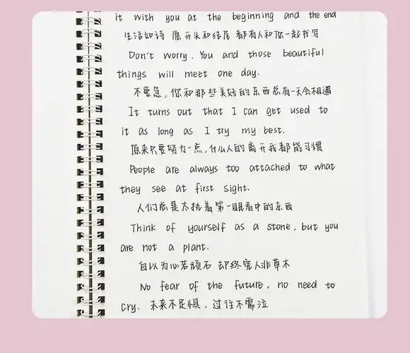 奶酪汉字字帖 送30张临摹纸10笔芯1支笔杆2书签》无著【摘要 书评