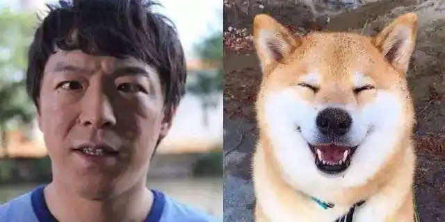 上一个让饭姐觉得这么像柴犬的人,还是回眸一笑的"塘主"张翰.