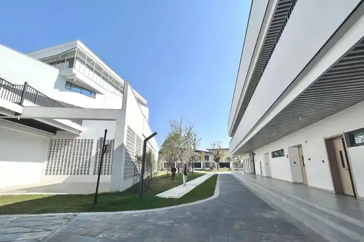 中央美术学院附属衢州中学 - 抖音