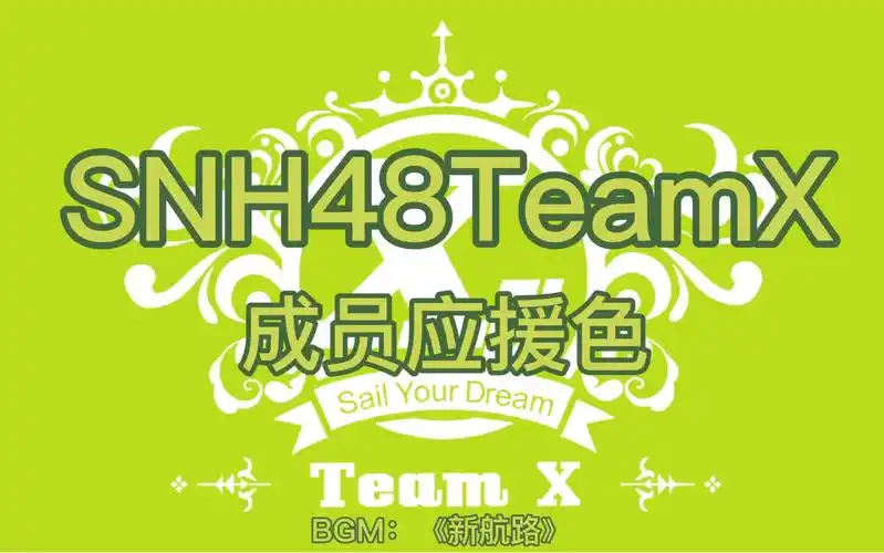 【snh48 teamx】现役成员应援色