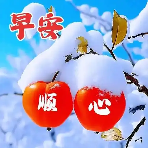 20231121周二早上好早安清晨问候祝福图片