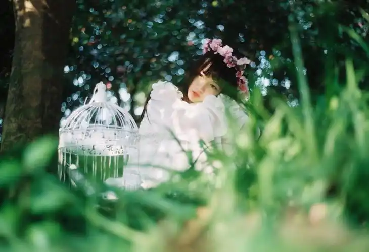 每个姑娘都有一颗少女心微博:@太阳婆婆m… - 堆糖,美图壁纸兴趣社区