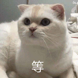 等(喵星人动态表情包)_动态_喵星人表情
