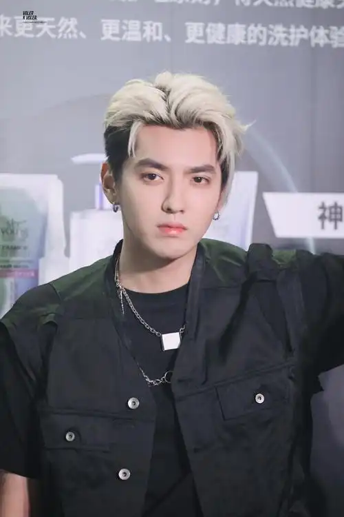 吴亦凡综艺品牌排行榜_吴亦凡负面影响不断扩大,exo参加的综艺被下架