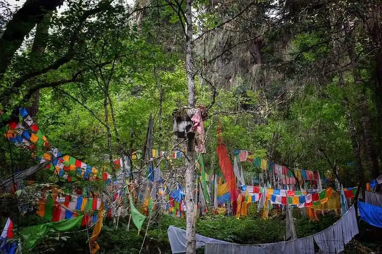 波密美景 —— 卓龙沟(中国唯一的树葬区)