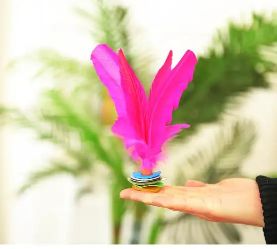 大号可拆耐踢鹅毛毽子健身比赛毽球鸡毛幼儿园小学生成人儿童老人花毽