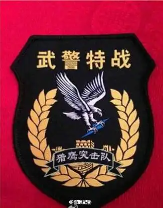 高清国家级反恐部队猎鹰突击队刚毅勇猛9