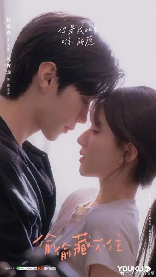 《安乐传》迪丽热巴,龚俊《偷偷藏不住》赵露思,陈哲远《长月烬明》