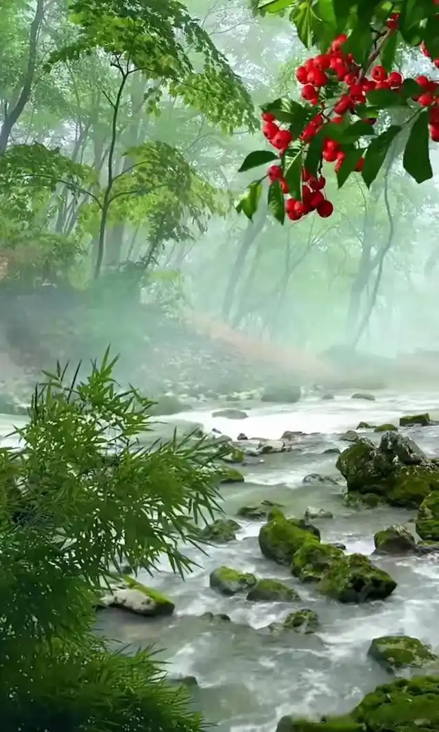 绿色养眼风景景壁纸美图