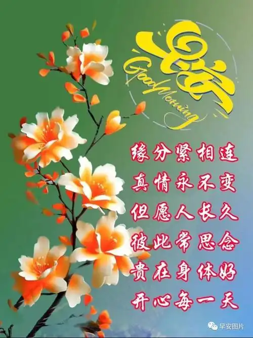 11月10日早安漂亮图片大全温馨早安问候祝福语
