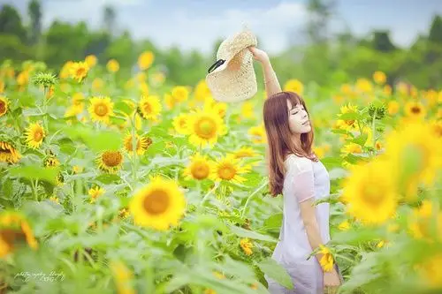 向日葵花海中的少女