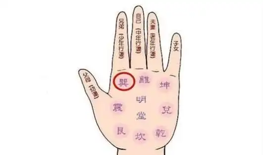 无论是鼻头财帛宫,还是手的财帛宫,都是忌讳出现疤痕或恶痣,财帛宫就