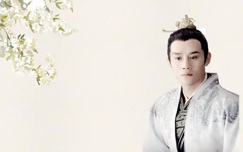 王凯个人古装混剪,不管演那种角色都是影帝,真男人做事向来果断