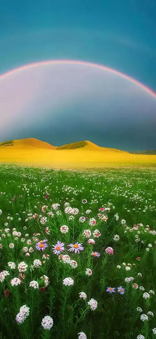 壁纸分享,好好的管教你自己,不要管别人