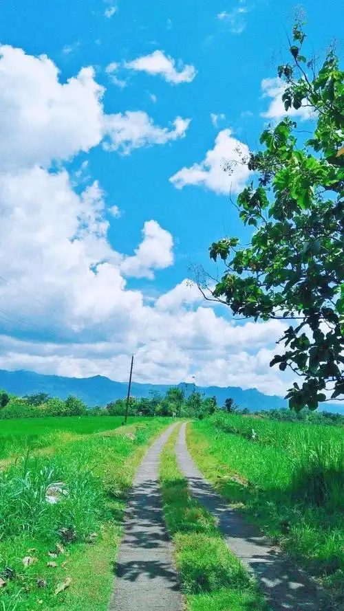 简单的小清新风景