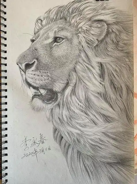 铅笔画素描画 铅笔素描教程