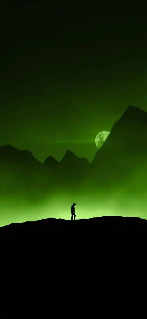 壁纸| 323031313530353437原图 喜欢点个赞 67