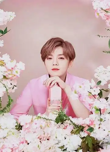 鹿晗婚纱造型照片_婚纱摄影图片_659896