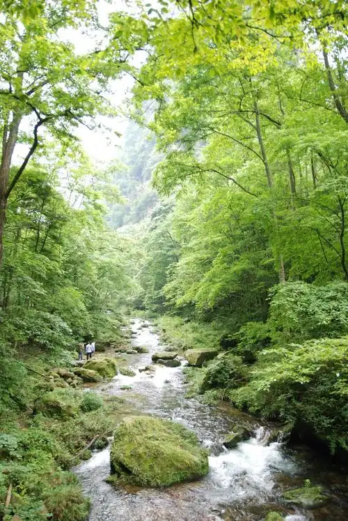 青山绿水张家界 (2/14)