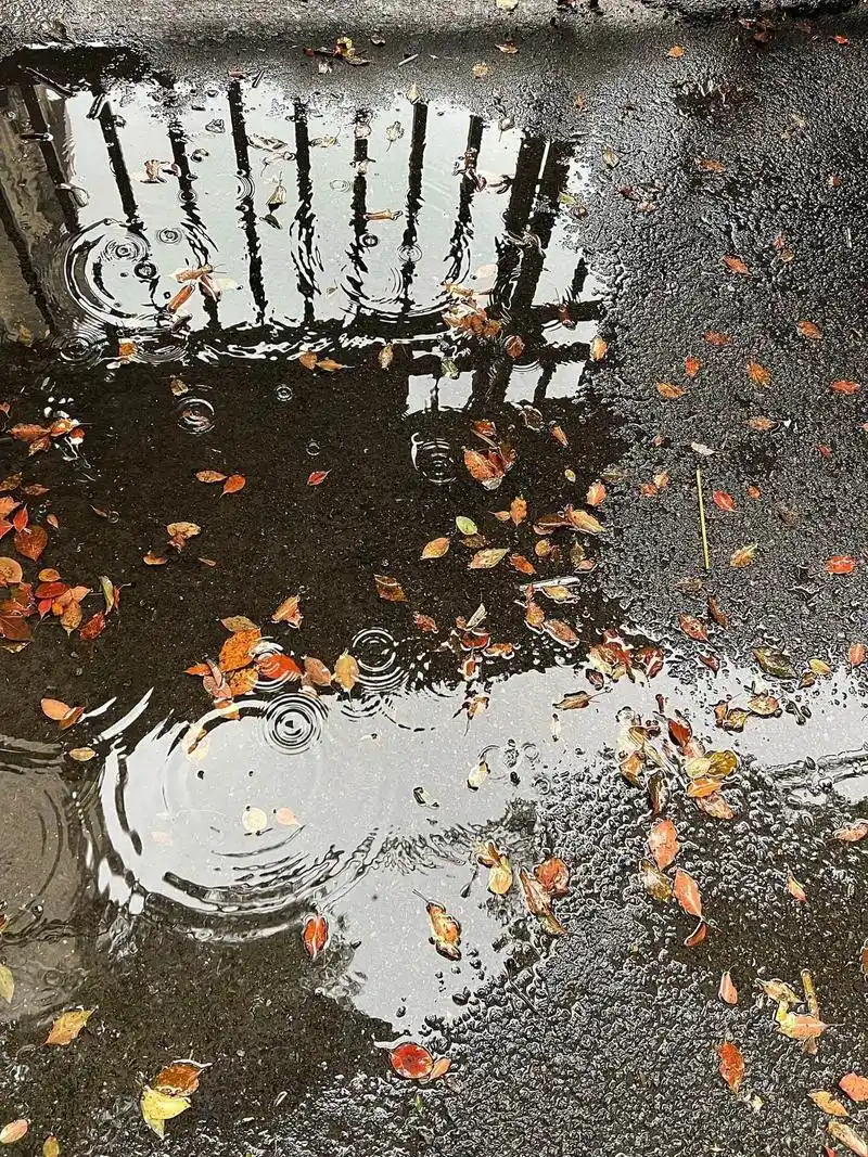 时间久了也会有字#氛围感 #治愈系 #雨天 #风景 #背景图 - 抖音