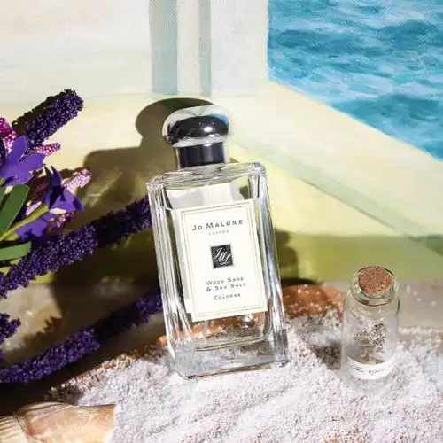 鼠尾草与海盐 jo malone wood sage & sea salt 分装 - 关凡琦香水