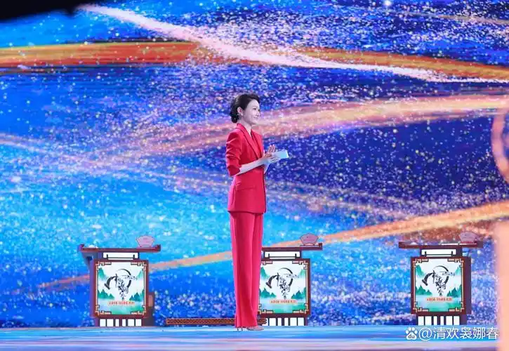 康震龙洋不改变中国诗词大会的下坡路会越走越快