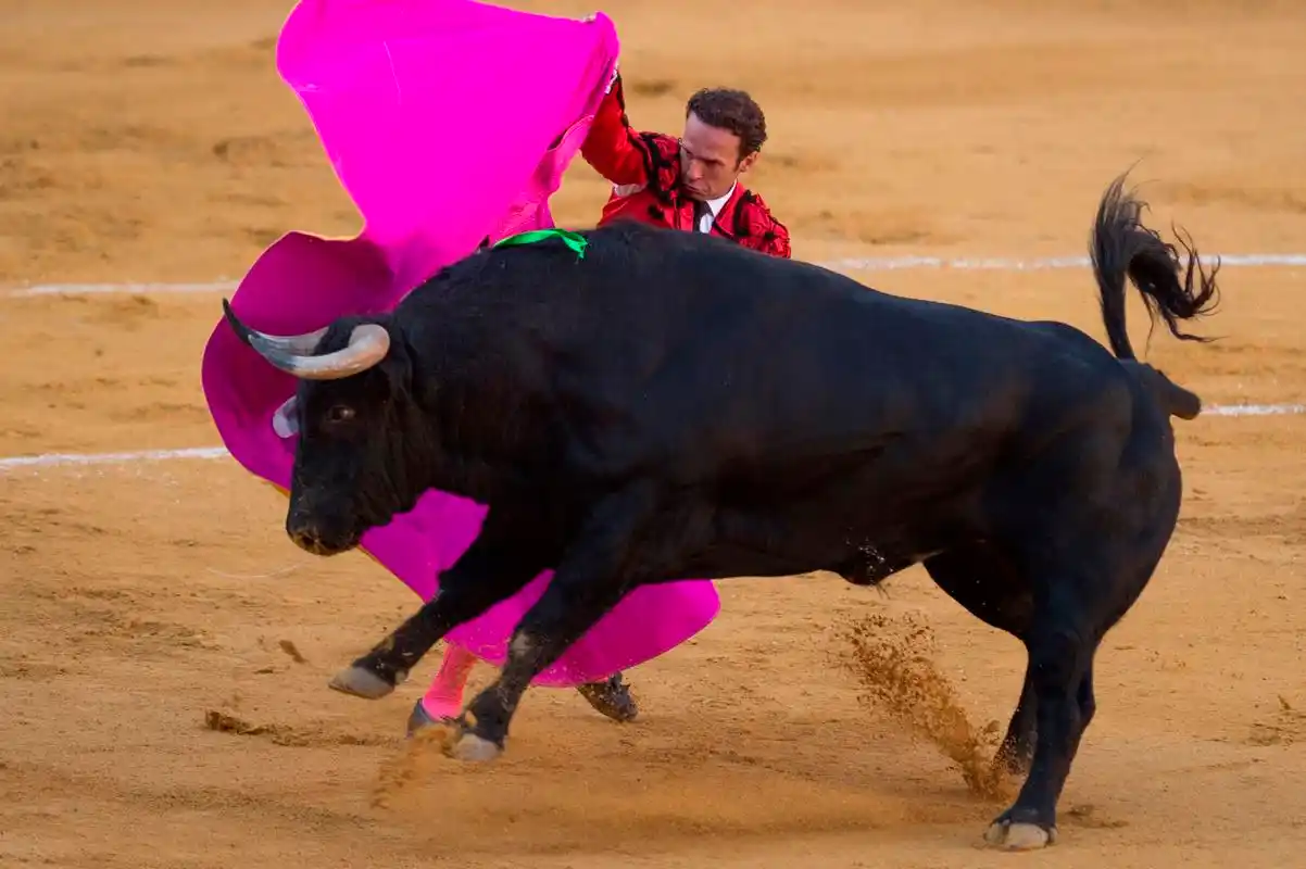 西班牙斗牛表演(8)